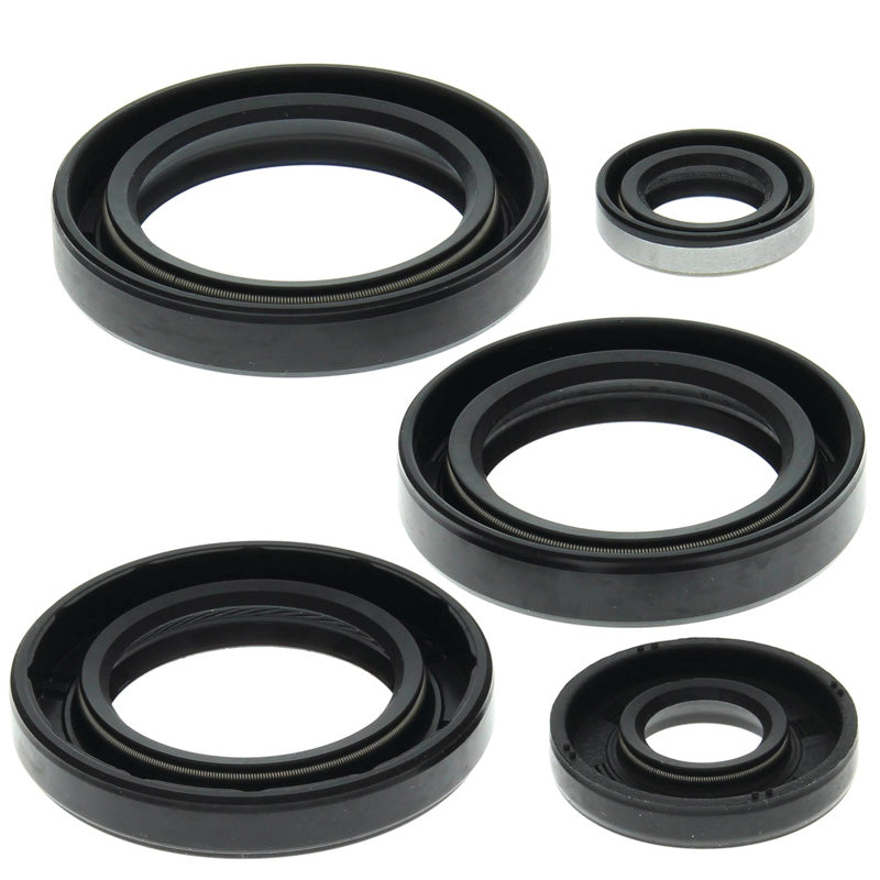 VERTEX OIL SEAL KIT 822213