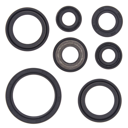VERTEX OIL SEAL KIT 822232