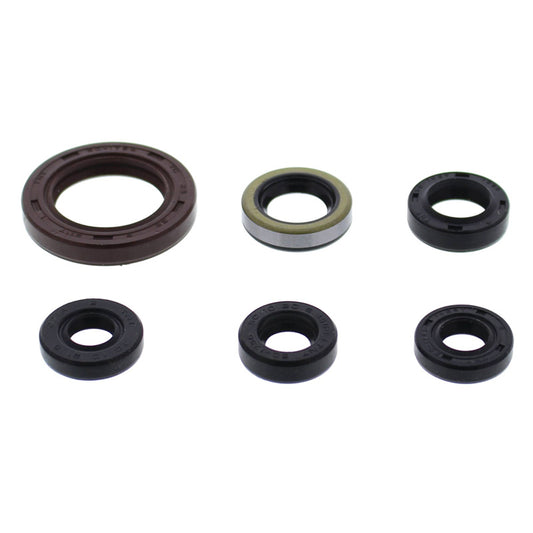 VERTEX OIL SEAL KIT 822973