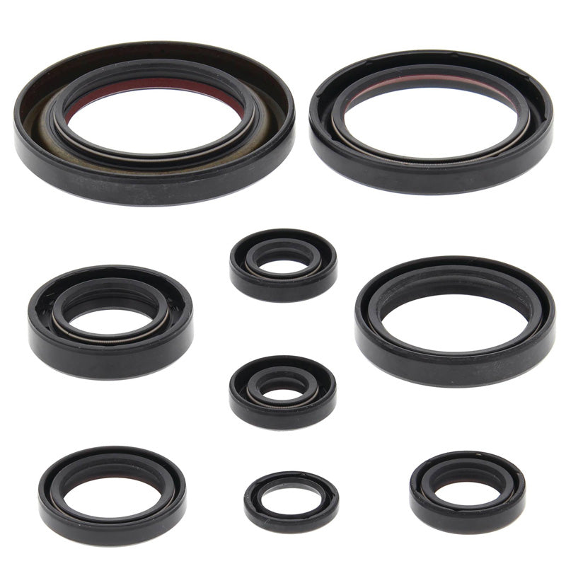 VERTEX OIL SEAL KIT 822312