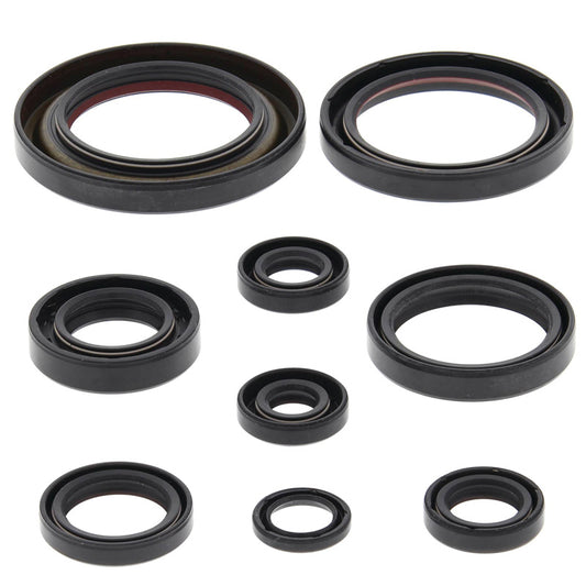VERTEX OIL SEAL KIT 822312