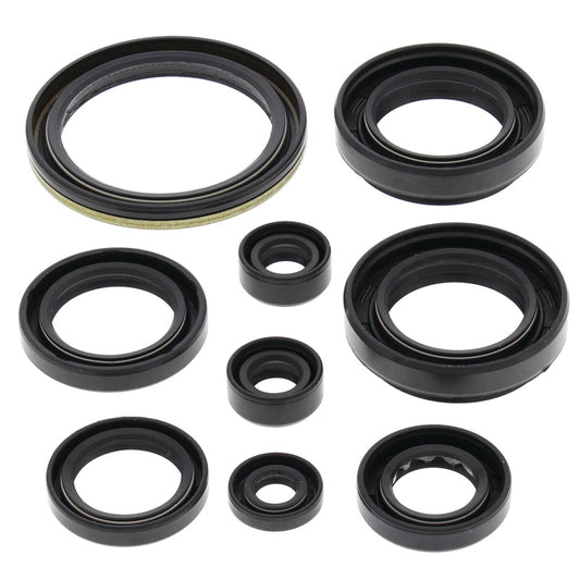 VERTEX OIL SEAL KIT 822259