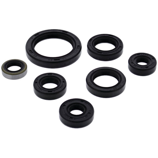 VERTEX OIL SEAL KIT 822323