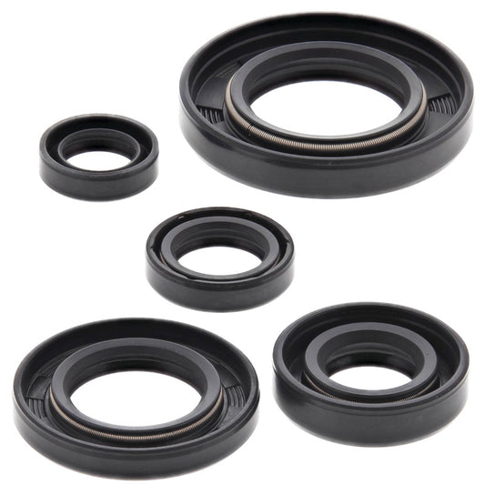 VERTEX OIL SEAL KIT 822165