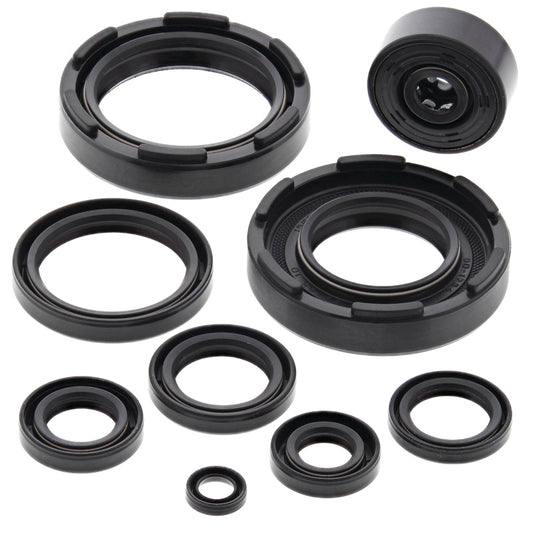 VERTEX OIL SEAL KIT 822221