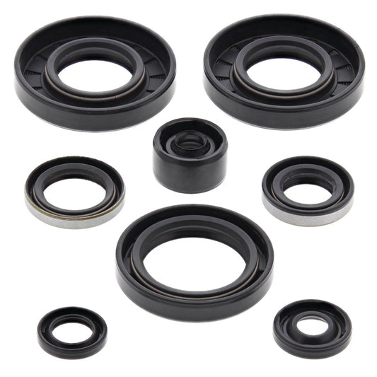VERTEX OIL SEAL KIT 822135