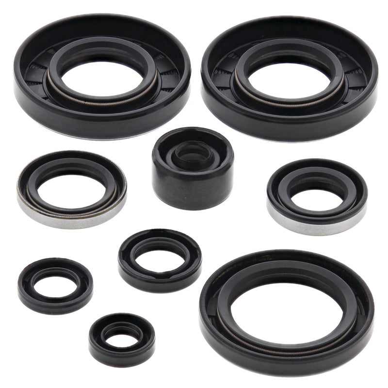 VERTEX OIL SEAL KIT 822292