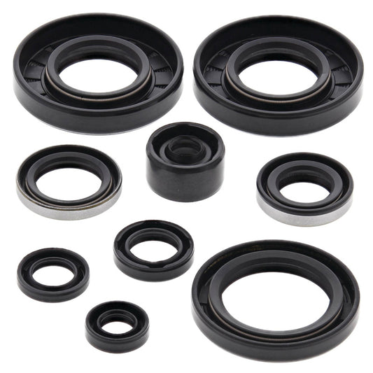 VERTEX OIL SEAL KIT 822292