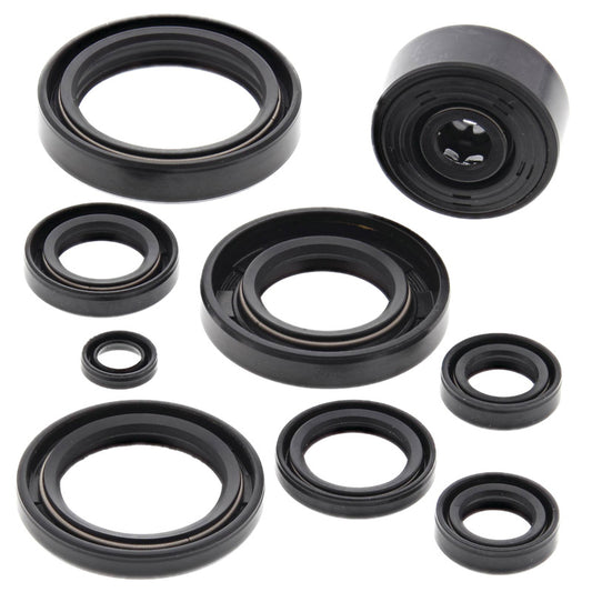 VERTEX OIL SEAL KIT 822119