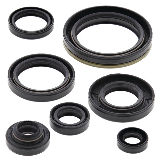 VERTEX OIL SEAL KIT 822134
