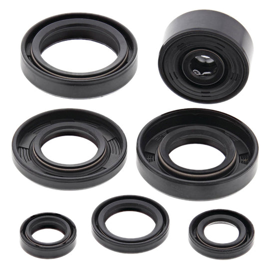 VERTEX OIL SEAL KIT 822113