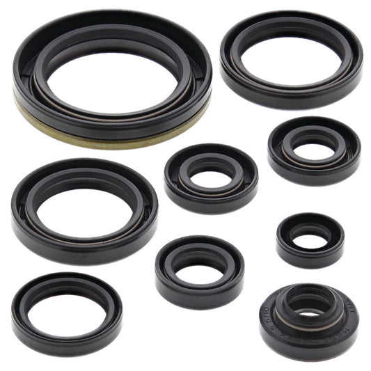 VERTEX OIL SEAL KIT 822324