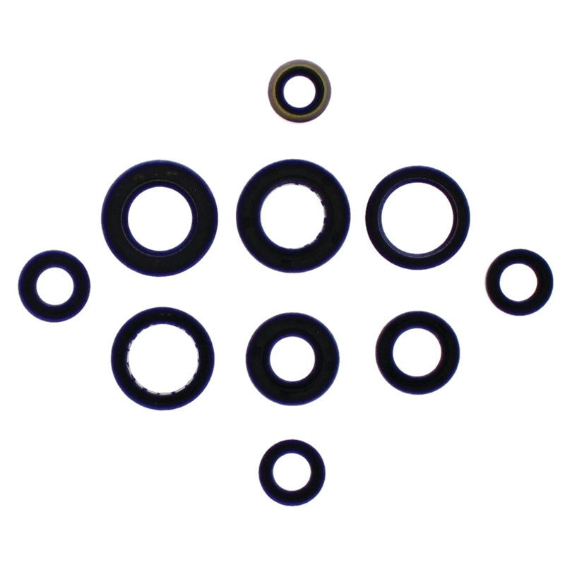 VERTEX OIL SEAL KIT 822341
