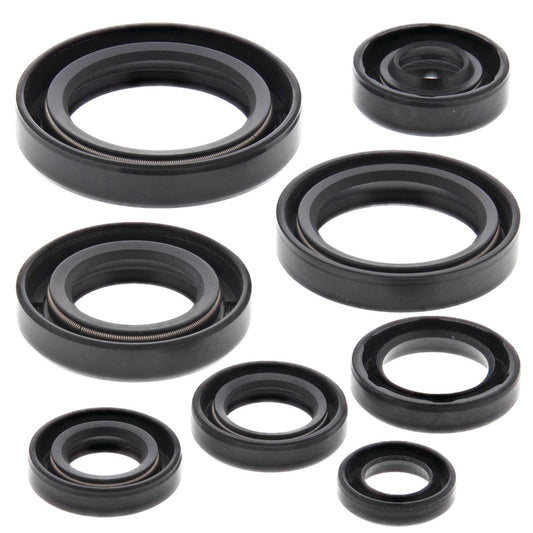 VERTEX OIL SEAL KIT 822106