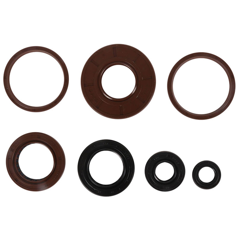VERTEX OIL SEAL KIT 822384