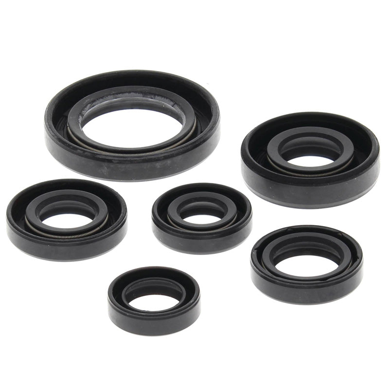 VERTEX OIL SEAL KIT 822146
