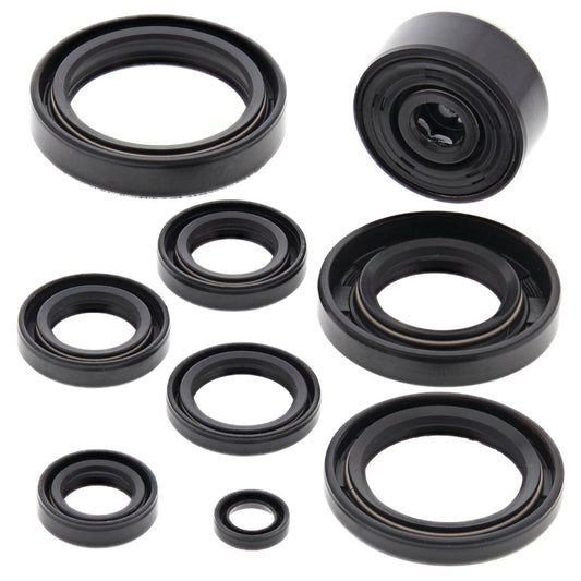 VERTEX OIL SEAL KIT 822116