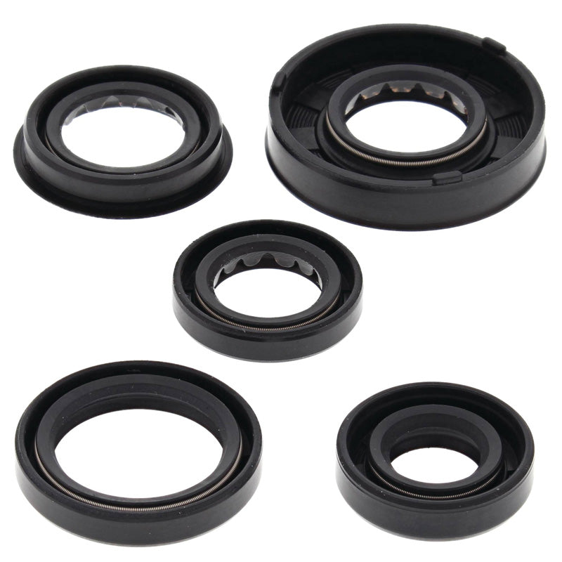 VERTEX OIL SEAL KIT 822322