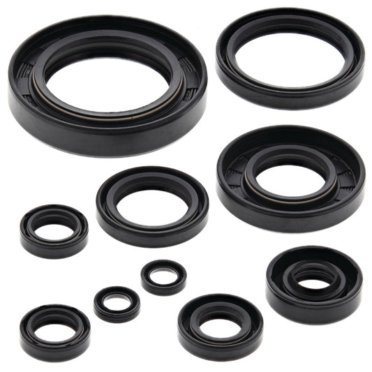 VERTEX OIL SEAL KIT 822122