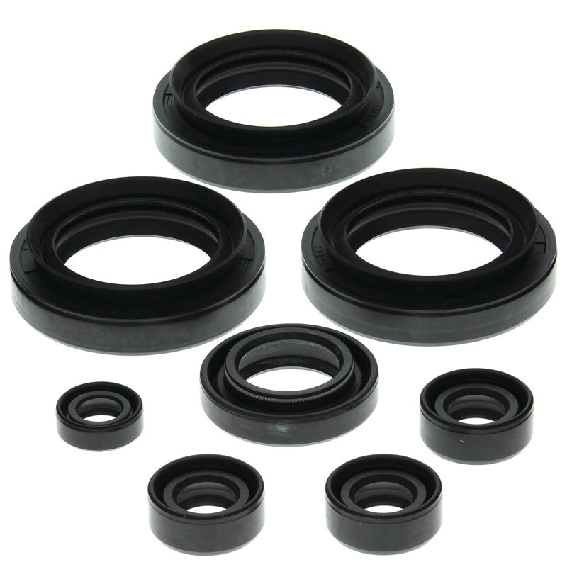 VERTEX OIL SEAL KIT 822152