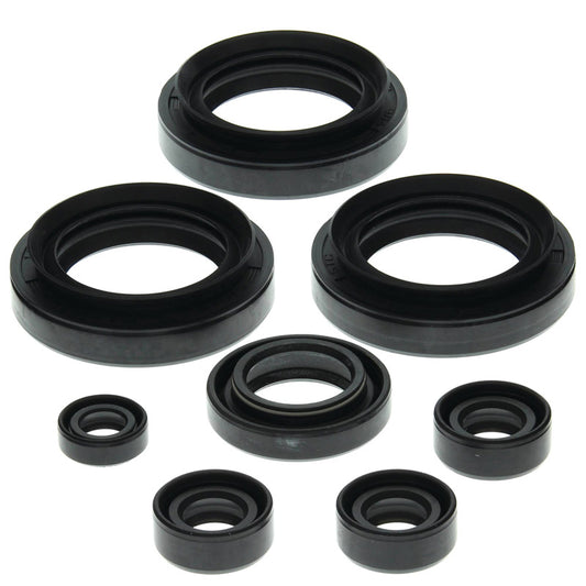 VERTEX OIL SEAL KIT 822152