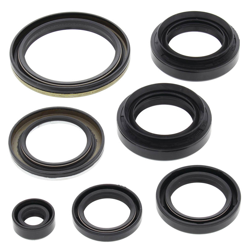VERTEX OIL SEAL KIT 822239