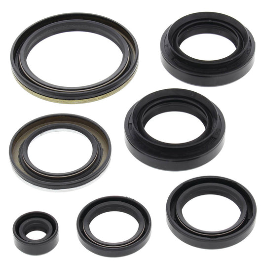 VERTEX OIL SEAL KIT 822239