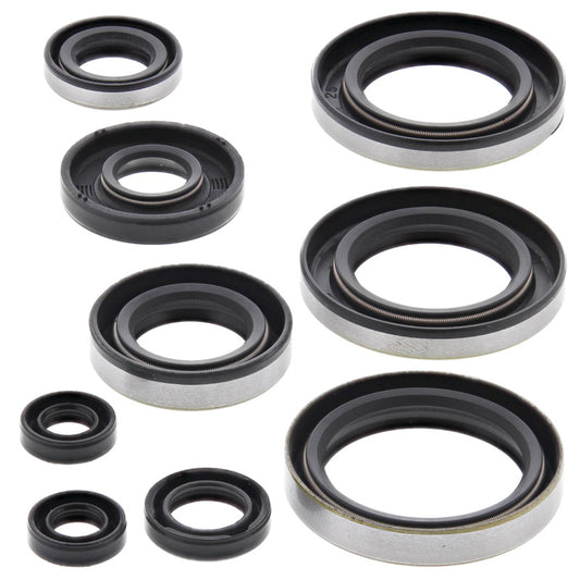 VERTEX OIL SEAL KIT 822296